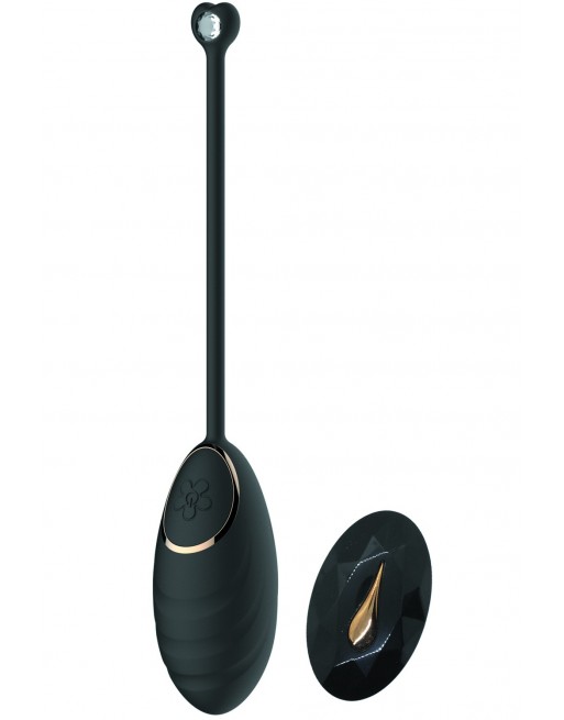 Œuf vibrant noir avec télécommande USB - DAISYBLACK Œuf vibrant noir avec télécommande USB - DAISYBLACK