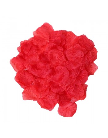 Pack de 100 Pétales de Rose Charme