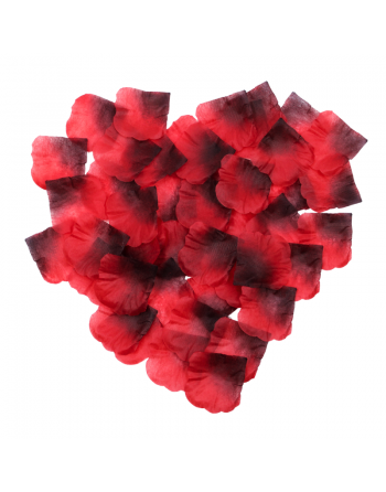 Pack de 100 Pétales de Rose Charme