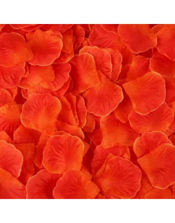 Pack de 100 Pétales de Rose Charme