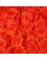 Pack de 100 Pétales de Rose Charme