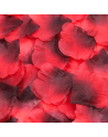 Pack de 100 Pétales de Rose Charme